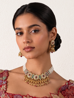 Nitara Bib Necklace Set-Multicolor