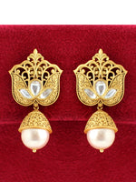 Ushna Earrings Success